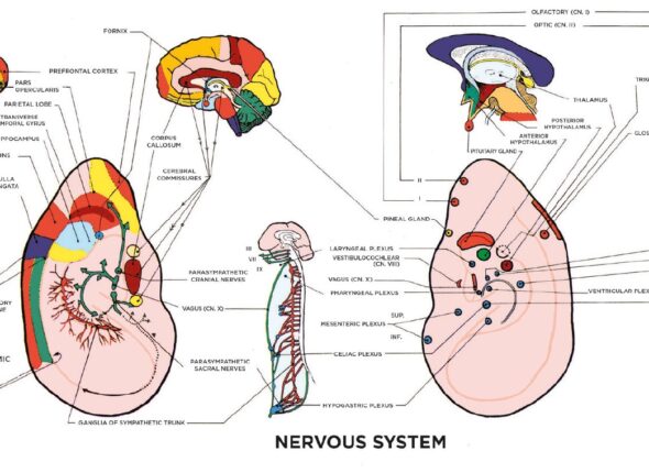 loci medecinae_extrait_horizontal